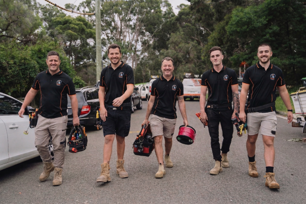 Professional electrical services in Glebe